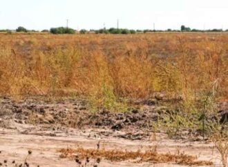Crisis agrícola frenará hasta 18 mil millones de pesos en el sur de Sonora: Russo Salido