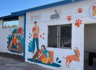 Antonio Astiazarán refuerza acciones contra sobrepoblación animal en Bahía de Kino
