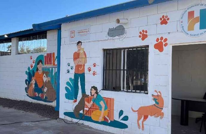Antonio Astiazarán refuerza acciones contra sobrepoblación animal en Bahía de Kino