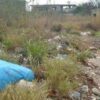 Invitan a aprovechar descuentos en predial para lotes baldíos