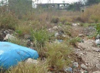 Invitan a aprovechar descuentos en predial para lotes baldíos