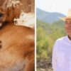 Nacen cuatro pumas y un antílope eland en el Centro Ecológico de Sonora