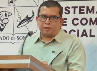 Recomiendan reforzar seguridad cibernética