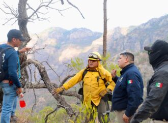 Combaten incendio forestal en Álamos
