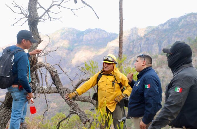 Combaten incendio forestal en Álamos