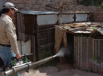 Se deben seguir recomendaciones para evitar propagación del dengue