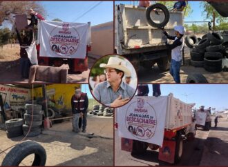 Navojoa refuerza lucha contra el dengue con más de 100 jornadas de descacharre