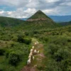Fotógrafo de Hermosillo logra publicación en National Geographic y proyecta la imagen de Sonora