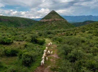 Fotógrafo de Hermosillo logra publicación en National Geographic y proyecta la imagen de Sonora
