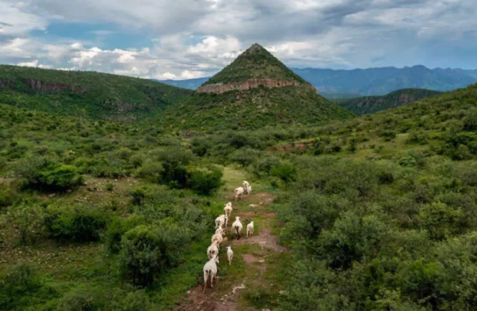 Fotógrafo de Hermosillo logra publicación en National Geographic y proyecta la imagen de Sonora
