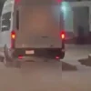 Fiscalía investiga presunto caso de maltrato animal en Hermosillo tras difusión de video en redes