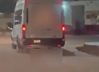 Fiscalía investiga presunto caso de maltrato animal en Hermosillo tras difusión de video en redes