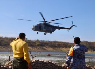 Mantiene CEPC combate intensivo contra incendio forestal en Tarachi