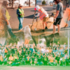 Impulsan programa de reforestación en Hermosillo para capacitar a ciudadanos y escuelas en el cuidado de árboles