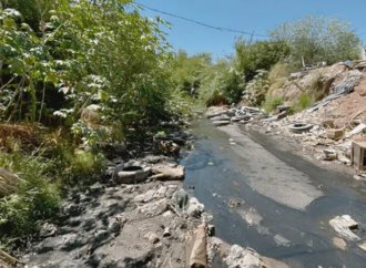 Vecinos del sur de Hermosillo denuncian rezagos en servicios públicos y deterioro urbano