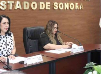 Invita INE a aprovechar las vacaciones de verano para actualizar la credencial para votar