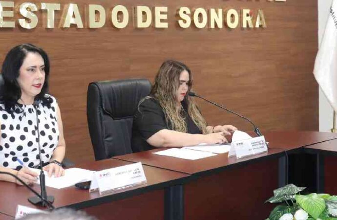 Invita INE a aprovechar las vacaciones de verano para actualizar la credencial para votar