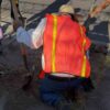 Siembran árboles sobre bulevar Rosales en Hermosillo