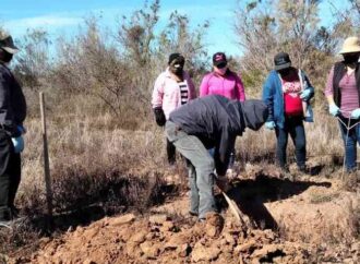 Diócesis de Ciudad Obregón impulsa colecta en apoyo a Madres Buscadoras de Cajeme