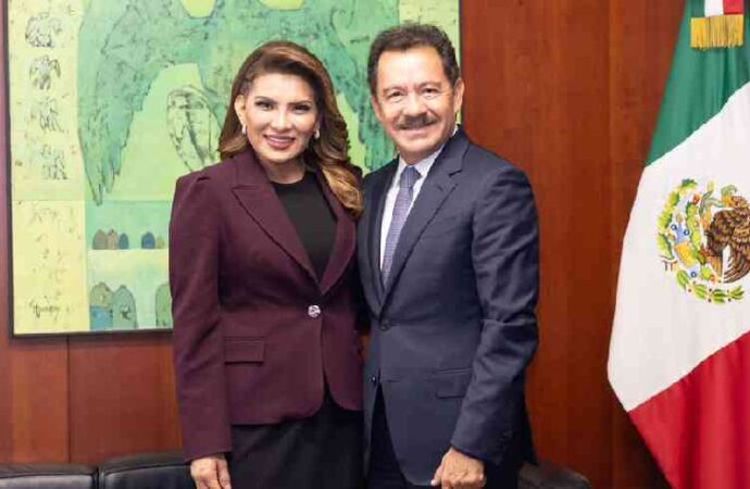 Lorenia Valles deja el Senado para buscar la coordinación de la 4T en Sonora
