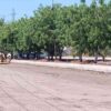 Registra avances obra de pavimentación en acceso a zona industrial