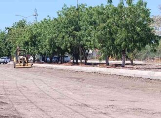 Registra avances obra de pavimentación en acceso a zona industrial