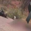 Identifican a los dos jóvenes fallecidos en trágico accidente de motocicleta en Álamos