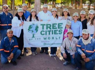Más de 113 mil árboles plantados fortalecen el medio ambiente en Hermosillo: Toño Astiazarán