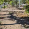 Solicitan ambientalistas el cambio de uso de suelo del “Antiguo Malecón”