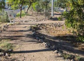 Solicitan ambientalistas el cambio de uso de suelo del “Antiguo Malecón”