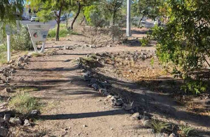 Solicitan ambientalistas el cambio de uso de suelo del “Antiguo Malecón”