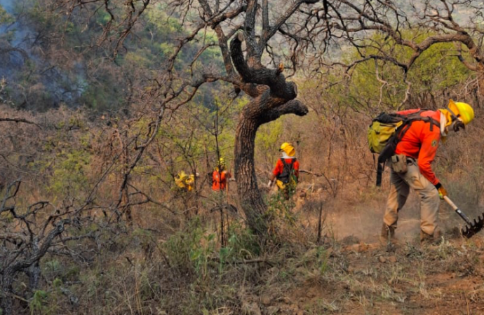 Más de 100 combatientes enfrentan incendio forestal en la sierra de Arivechi