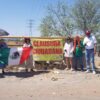 Por tala, advierten riesgo para 100 árboles en Hermosillo