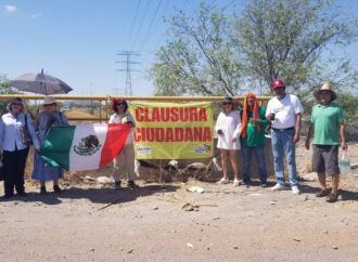 Por tala, advierten riesgo para 100 árboles en Hermosillo
