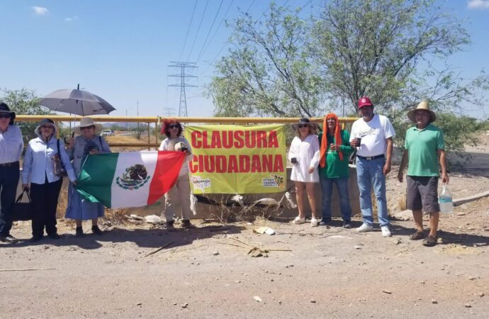 Por tala, advierten riesgo para 100 árboles en Hermosillo