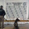 Interceptan en Hermosillo cargamento de 145 kilos de metanfetamina; FGR abre investigación