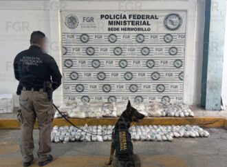Interceptan en Hermosillo cargamento de 145 kilos de metanfetamina; FGR abre investigación