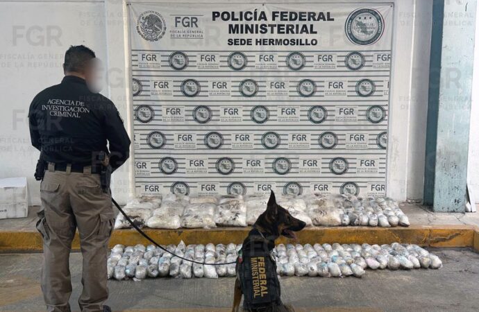 Interceptan en Hermosillo cargamento de 145 kilos de metanfetamina; FGR abre investigación