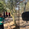 Centro Ecológico de Sonora adelanta horarios por las altas temperaturas