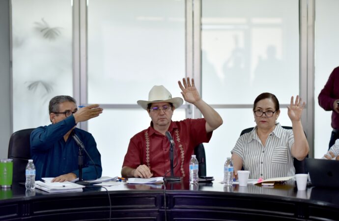 Navojoa financiará maquinaria para acelerar pavimentación en colonias y comunidades