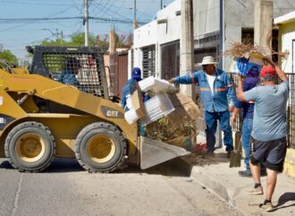 Retira Gobierno de Hermosillo mil 310 toneladas de cacharros para prevenir dengue y rickettsia