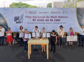 “El maíz es la raíz de México”; el objetivo es conservar la semilla y generar bienestar: Sheinbaum