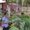 Llama Ecología de Cajeme a frenar podas excesivas y fortalecer la reforestación