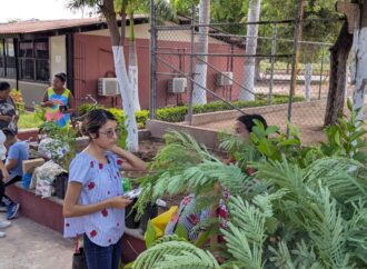 Llama Ecología de Cajeme a frenar podas excesivas y fortalecer la reforestación