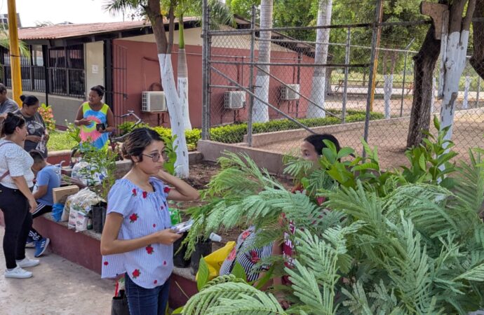 Llama Ecología de Cajeme a frenar podas excesivas y fortalecer la reforestación