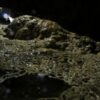 Buscan a cuatro integrantes de una familia atrapados en una gruta de Puebla tras intensas lluvias