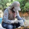 Alerta Salud Sonora por falsos brigadistas que cobran por supuestos servicios contra el dengue