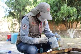 Alerta Salud Sonora por falsos brigadistas que cobran por supuestos servicios contra el dengue