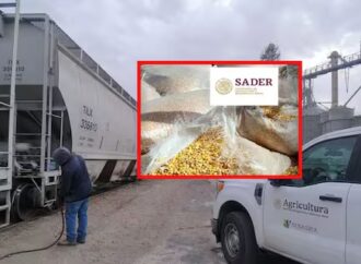 Sentencian en Texas a agente aduanal por sobornar a funcionarios mexicanos para importar granos