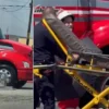 Muere adulto mayor tras ser atropellado por tráiler en San Luis Río Colorado